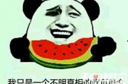 娱乐吃瓜酱谐音梗是什么,揭秘谐音梗背后的趣味与智慧
