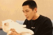 娱乐圈吃瓜爆料陈星旭,揭秘明星背后的真相